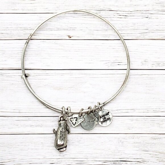 Alex and Ani Otter Charm Bracelet Silver Finish - Expands 2"- 3.5" - Picture 2 of 3